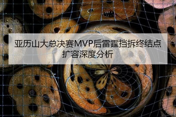 亚历山大总决赛MVP后雷霆挡拆终结点扩容深度分析